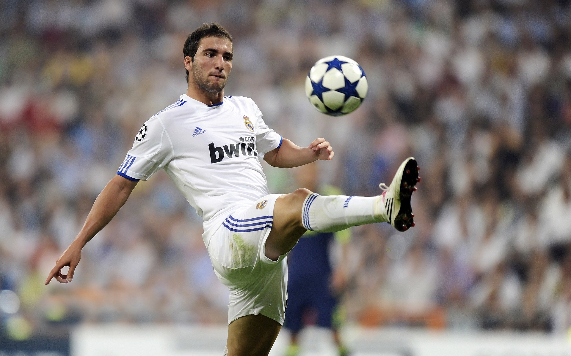 圣卢西亚举办盛大马拉松庆典,圣卢西亚拉德拉酒店